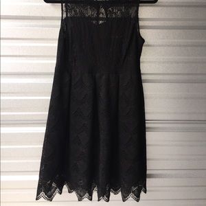 Scalloped eyelash lace dress knee length